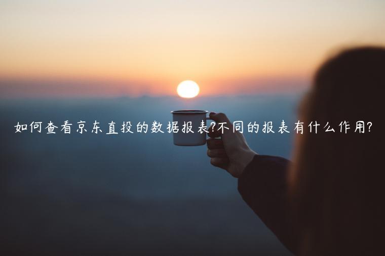 如何查看京東直投的數(shù)據(jù)報表?不同的報表有什么作用?